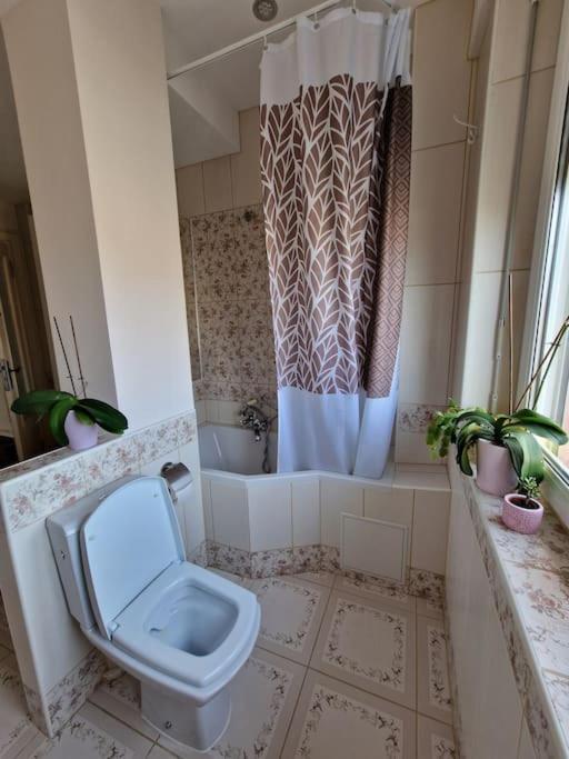 Beautiful Aparment Next To The Border 4 Room Saint-Louis  Exterior foto